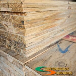 pinus-03-cdl